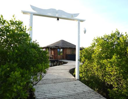 Family Premium Villa